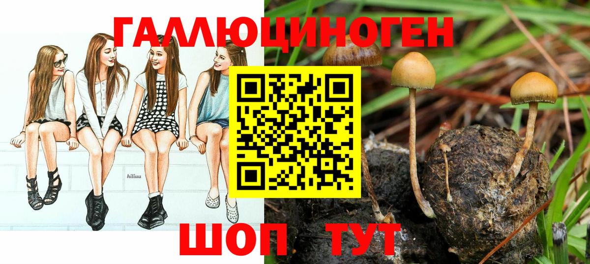 Псилоцибиновые грибы мухоморы  Вход с VPN  Псилоцибиновые грибы MAGIC MUSHROOMS  Мирный 
