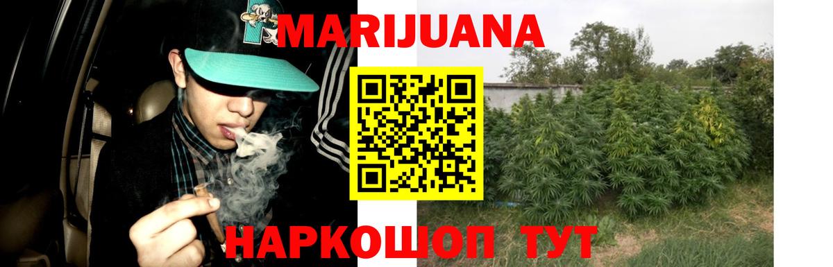 Каннабис White Widow  Бошки марихуана план  Бошки Шишки Ganja  Бошки марихуана Bruce Banner  Вход с VPN  Мирный 